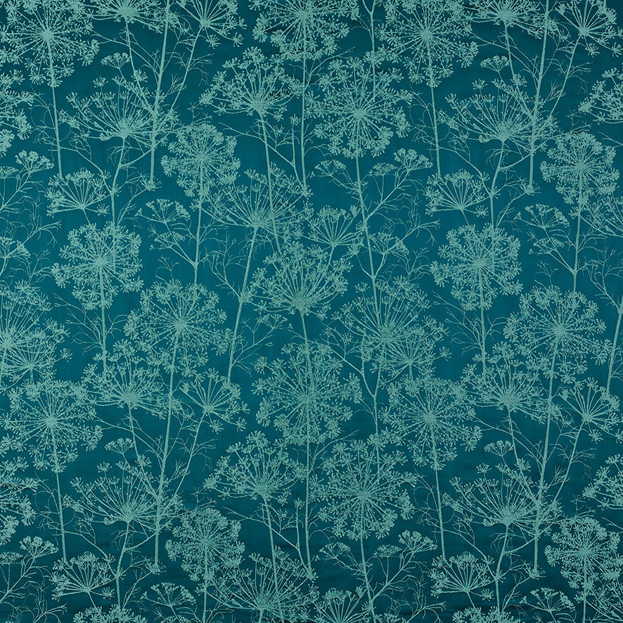Fennel Flower Peacock