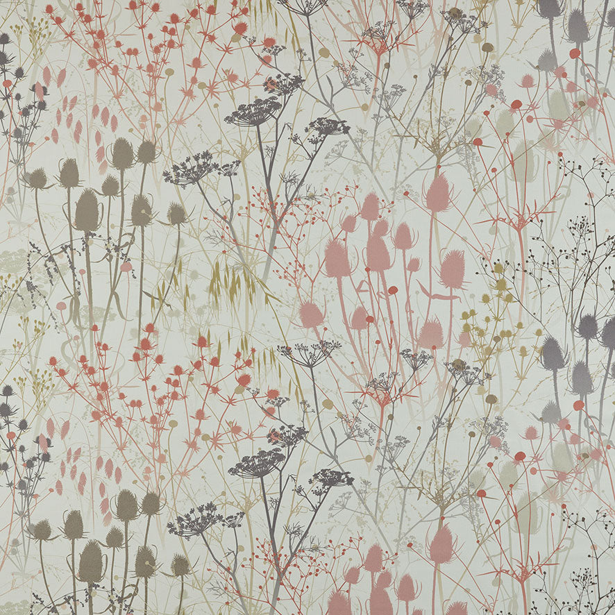 Summer Border Shell