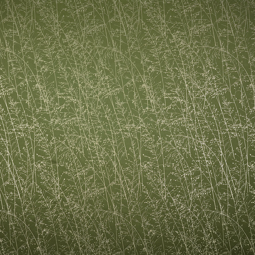 Whispering Grass Olive