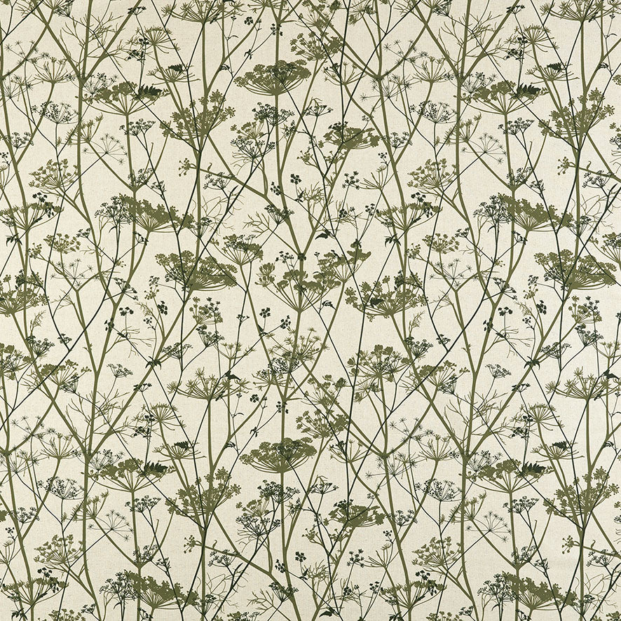 Wild Chervil Olive