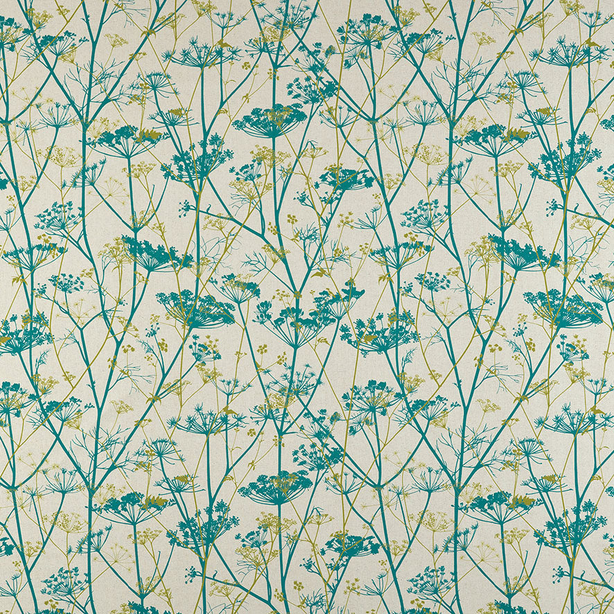 Wild Chervil Peacock