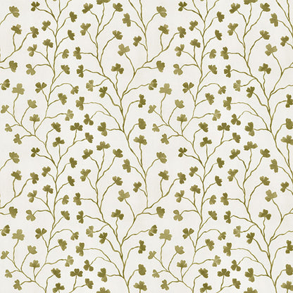 Clover Olive
