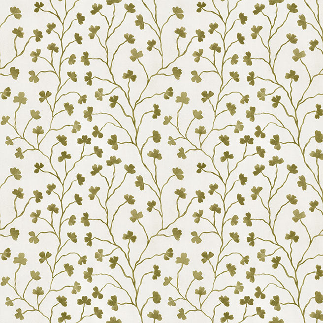 Clover Olive