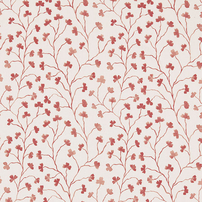 Clover Raspberry