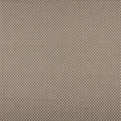 Collier Taupe