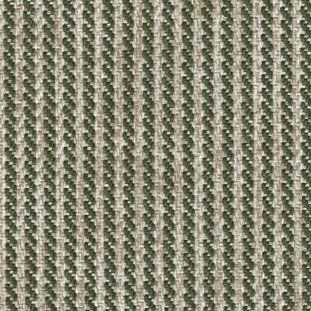 Castelli Fern