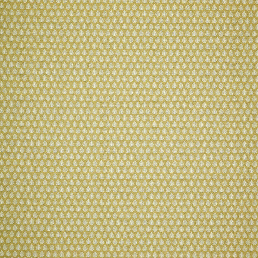 Jaipur Pollen
