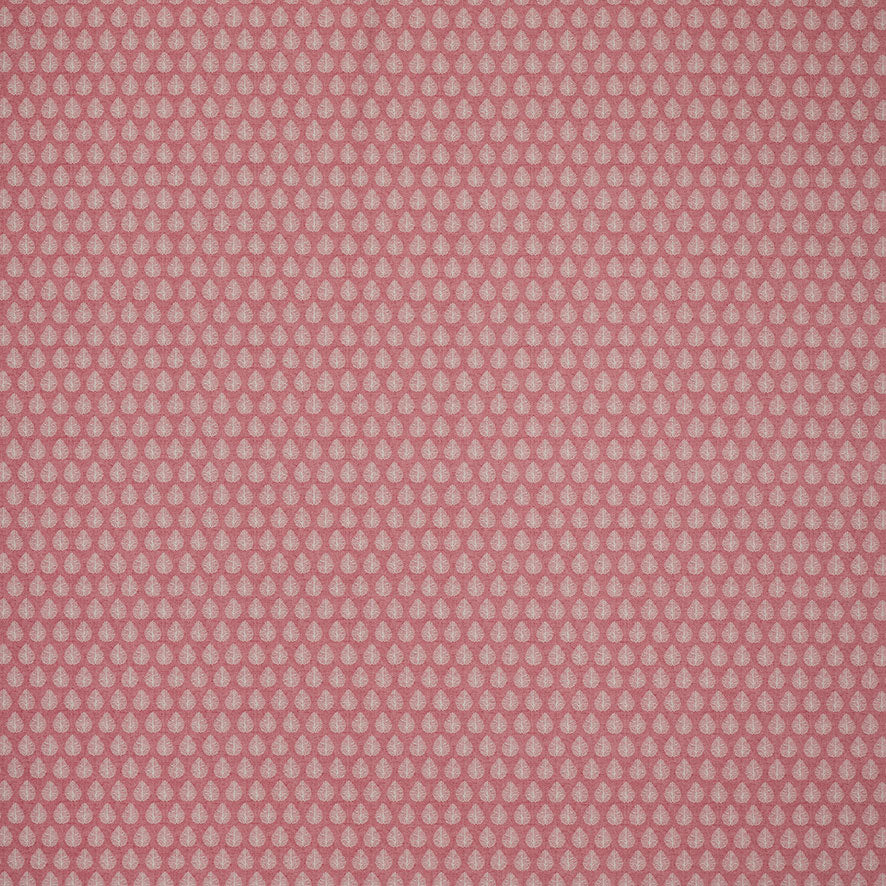 Jaipur Raspberry