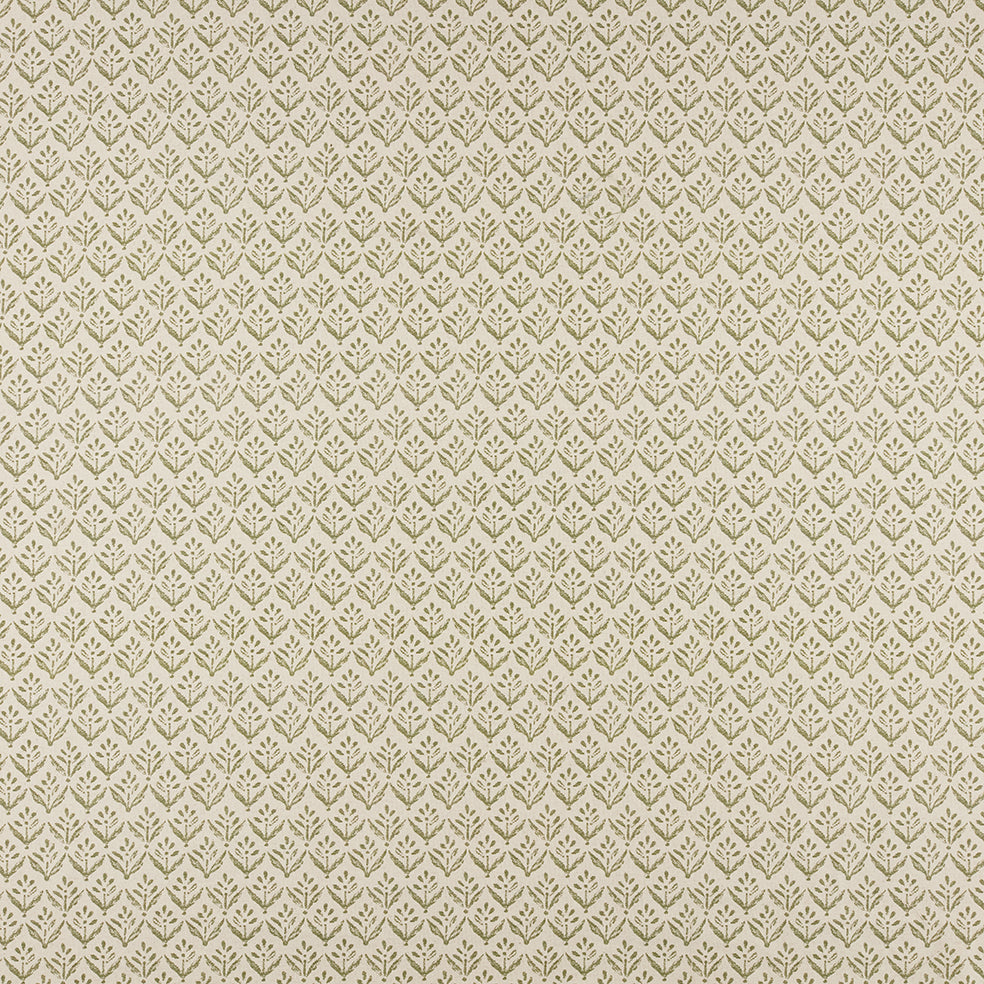 Escorca Olive