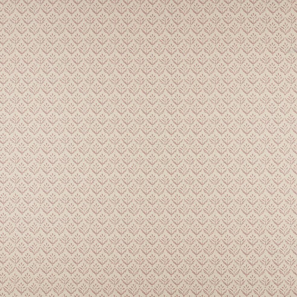 Escorca Rose