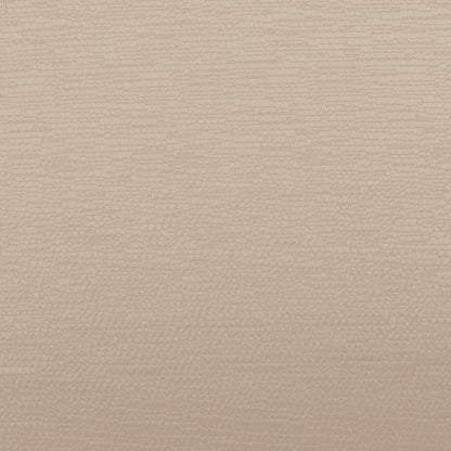 Glint Champagne