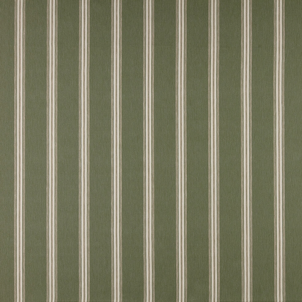 Hampton Spruce