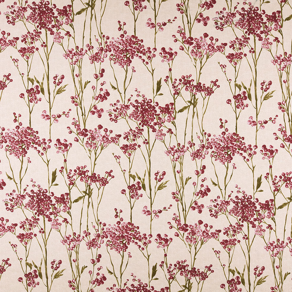 Hawthorn Cranberry