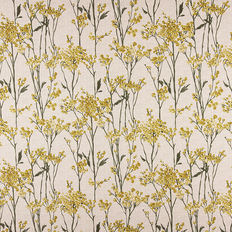 Hawthorn Maize