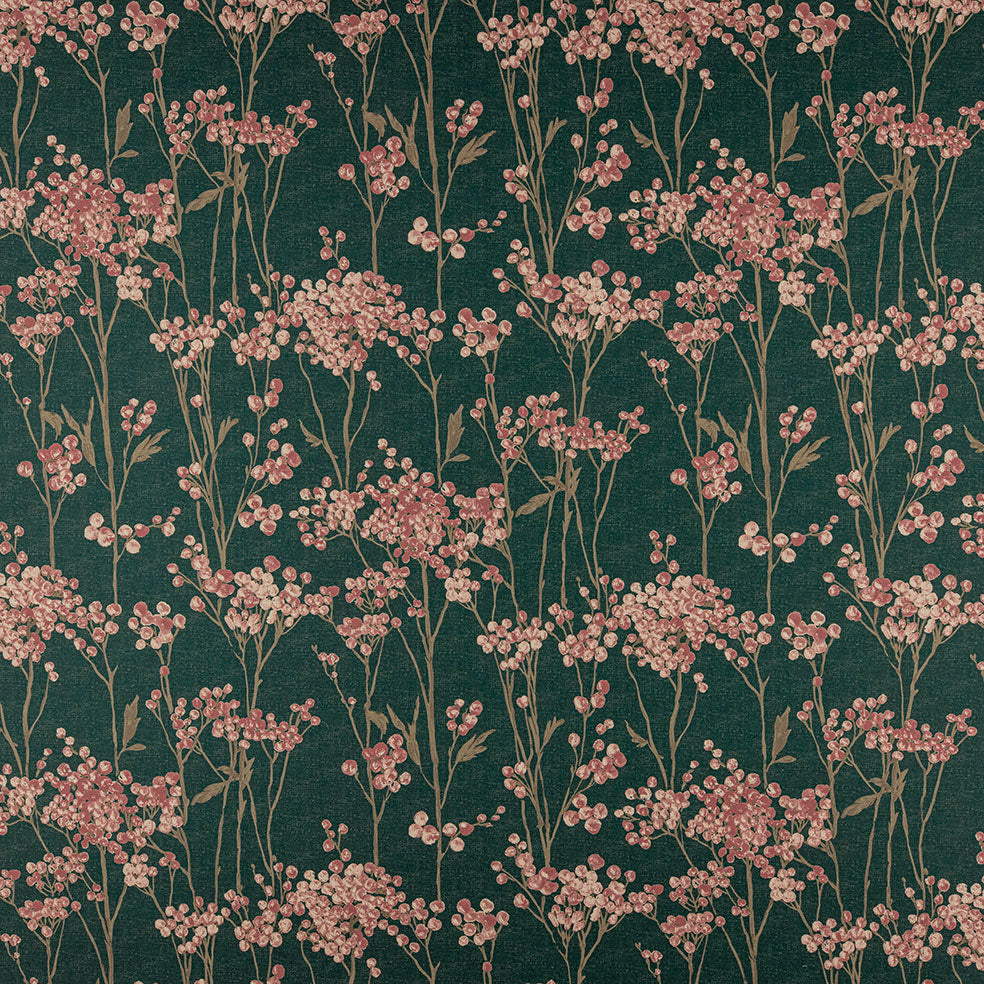 Hawthorn Peacock