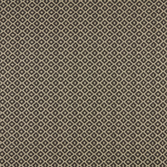 Berber Aniseed