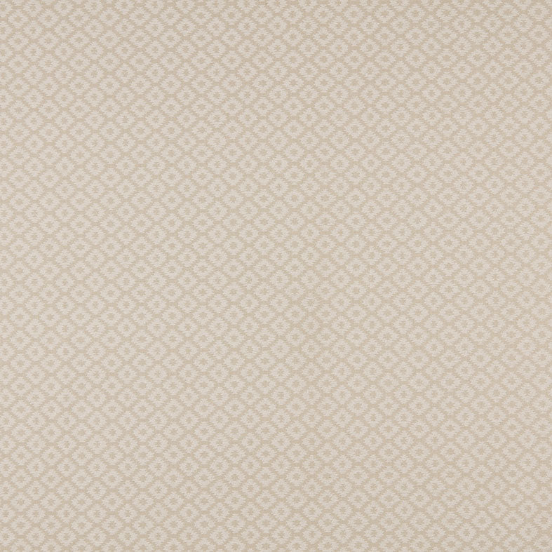 Berber Parchment
