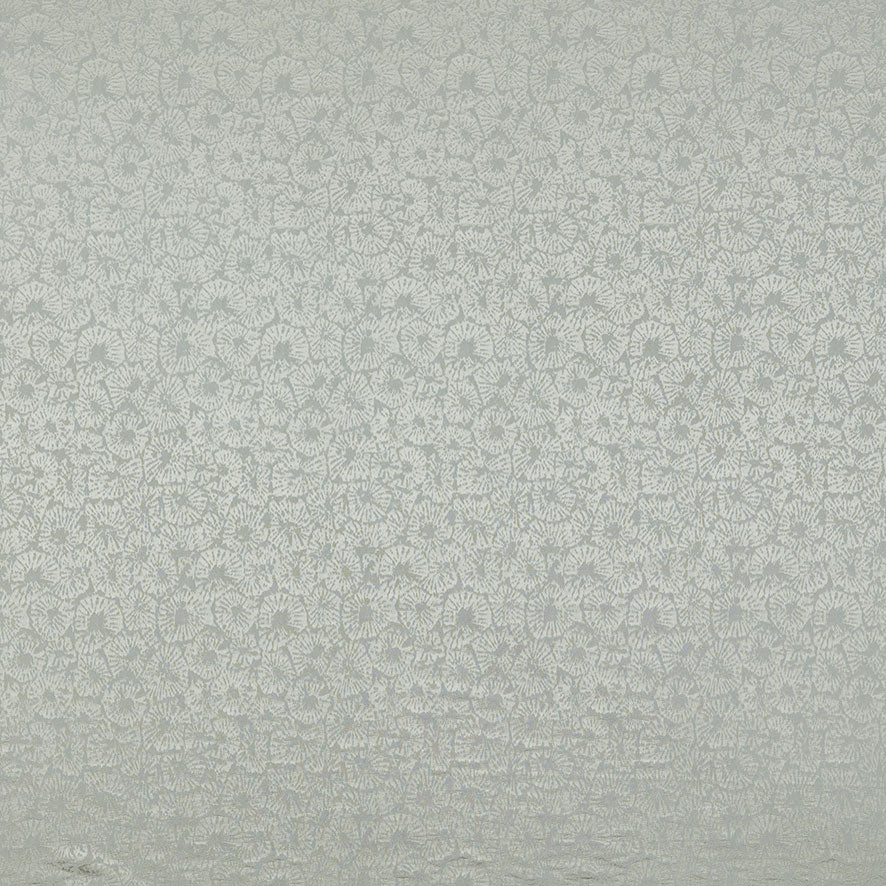 Caninia Limestone
