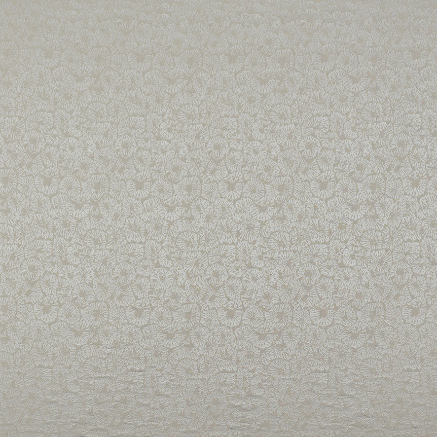 Caninia Putty