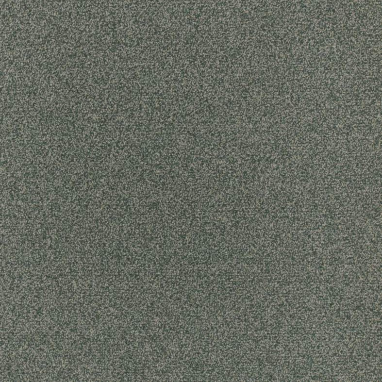 Kokoro Spruce