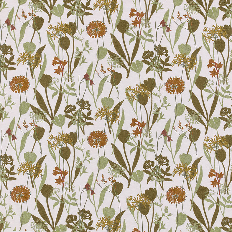 Niwa Olive