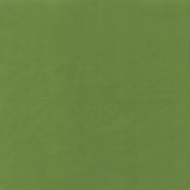 Koji Aloe