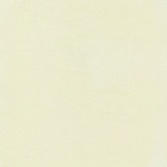 Koji Ivory