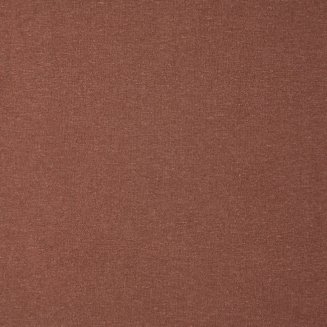 Leon Cinnamon