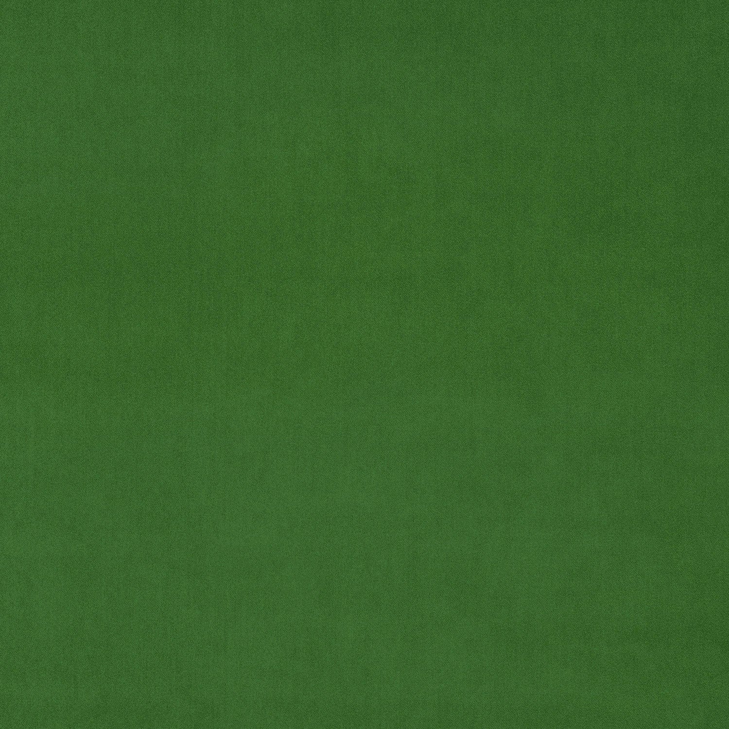 LF3838CFR Omega 148 Parakeet