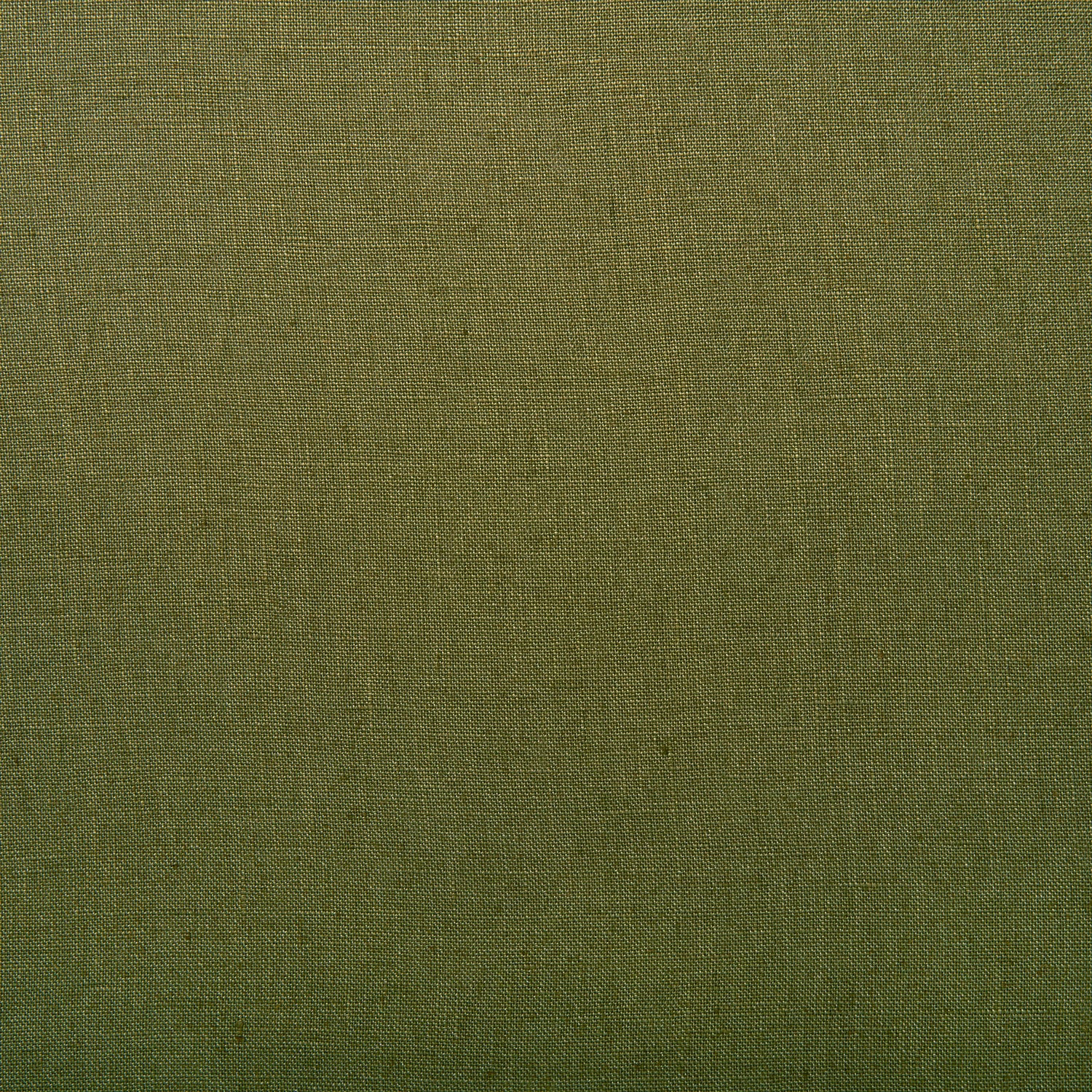 LF2441C Marietta 17 Olive