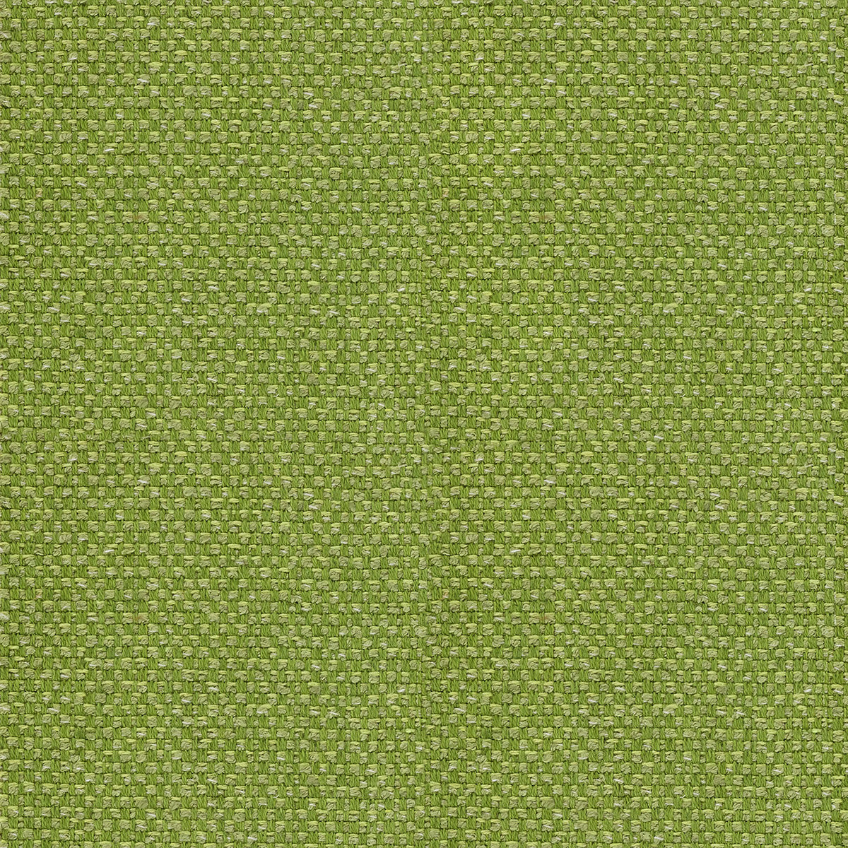 LF2458C 13 Apple