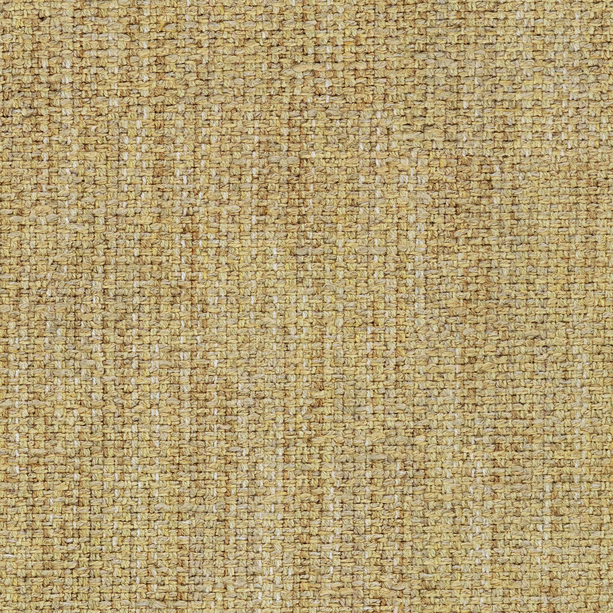 LF2458C 3 Buttermilk