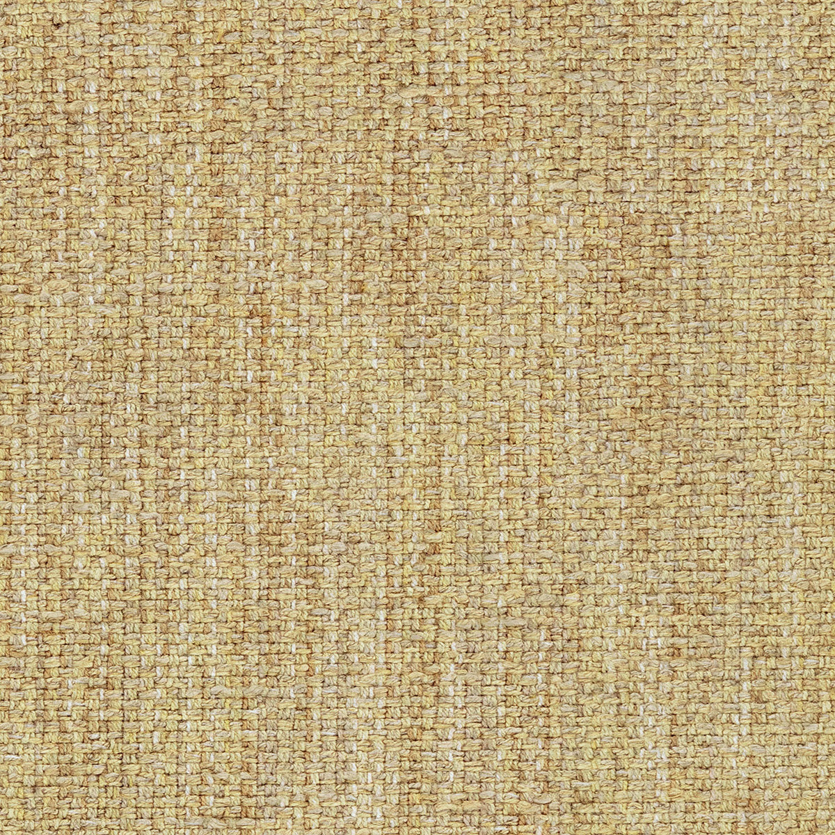 LF2458C 4 Cornsilk