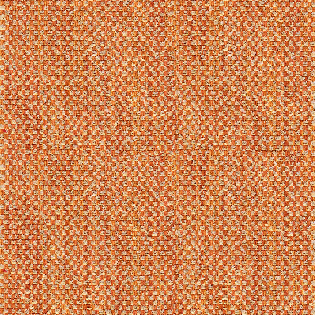 LF2458C 7 Marmalade