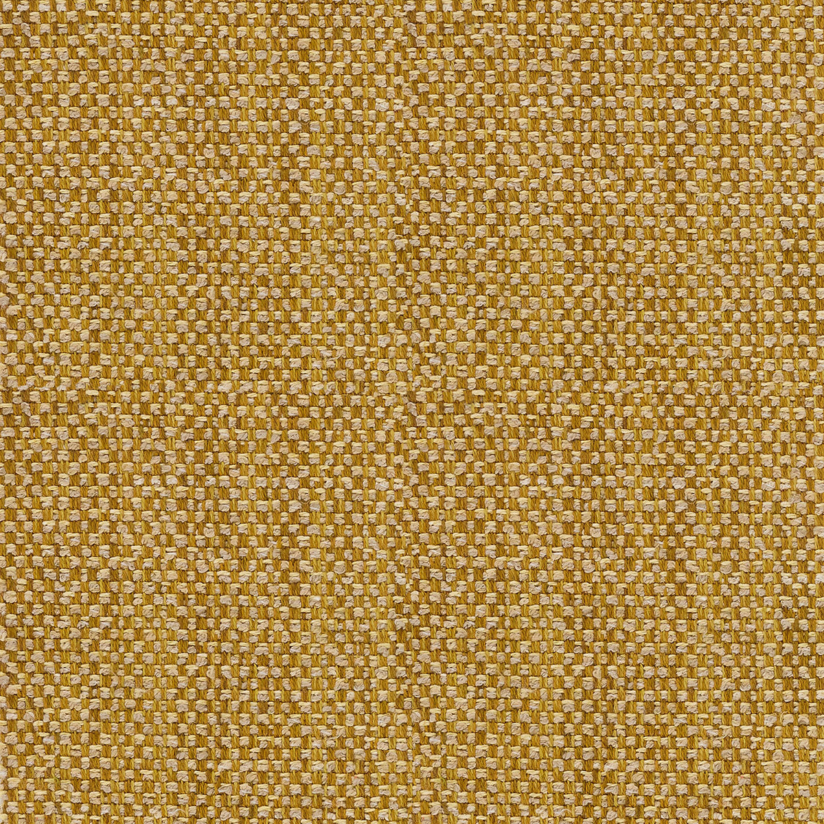 LF2458C 6 Ochre