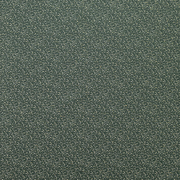 Namibia Fern