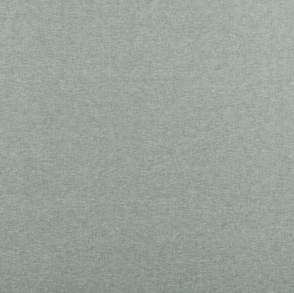 Norma Eucalyptus