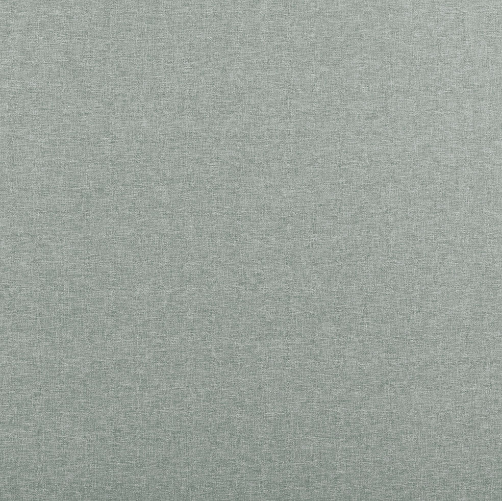 Norma Eucalyptus