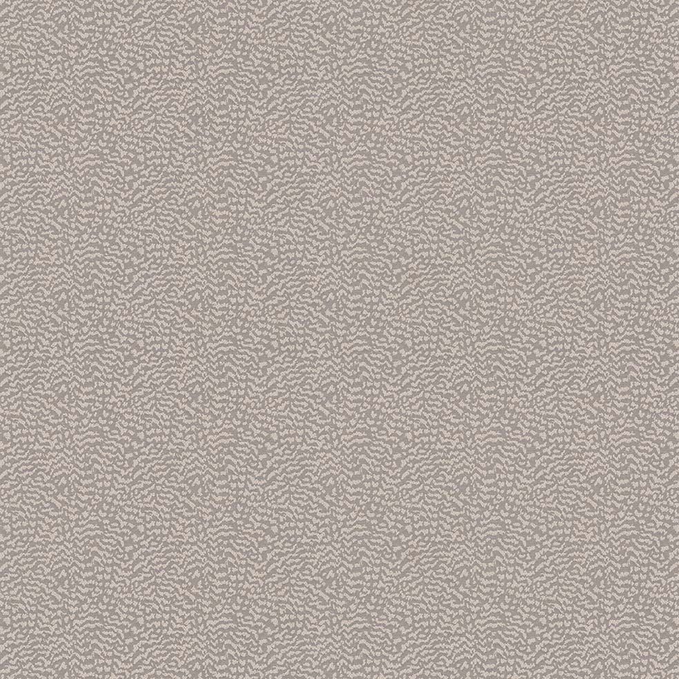 Ontario Dove