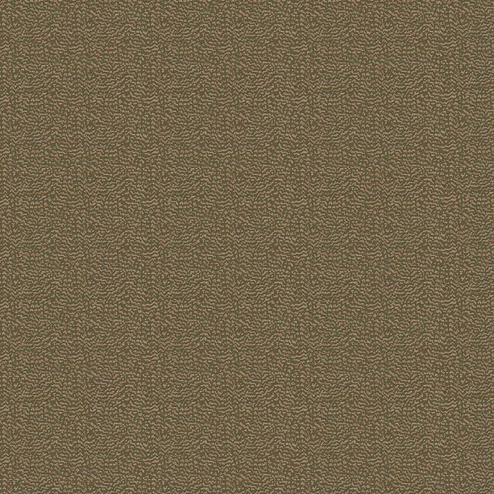 Ontario Olive