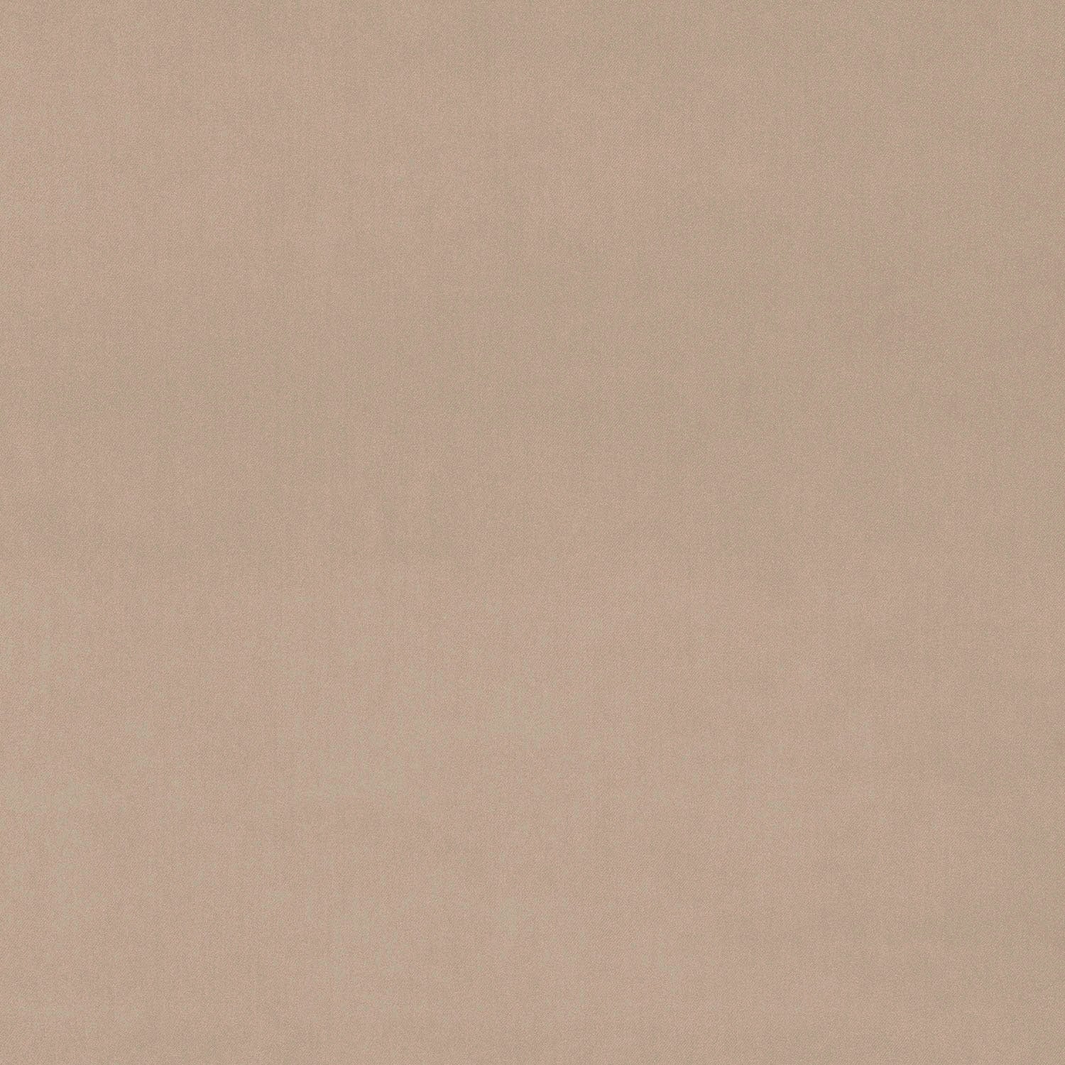 LF1528C 113 Champagne