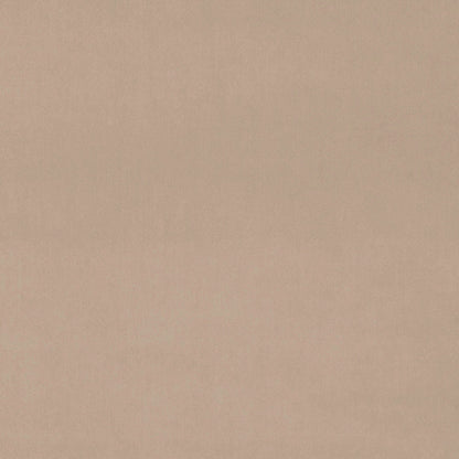 LF1528C 113 Champagne