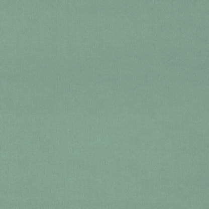 LF1528CFR 139 Sea Mist