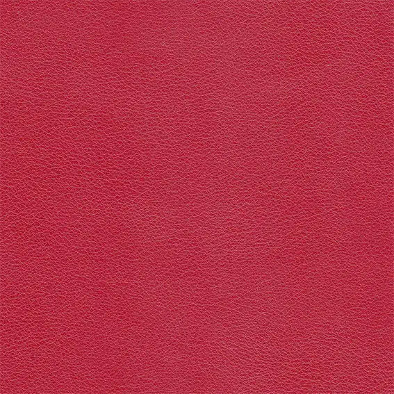 Plush Red Daliah