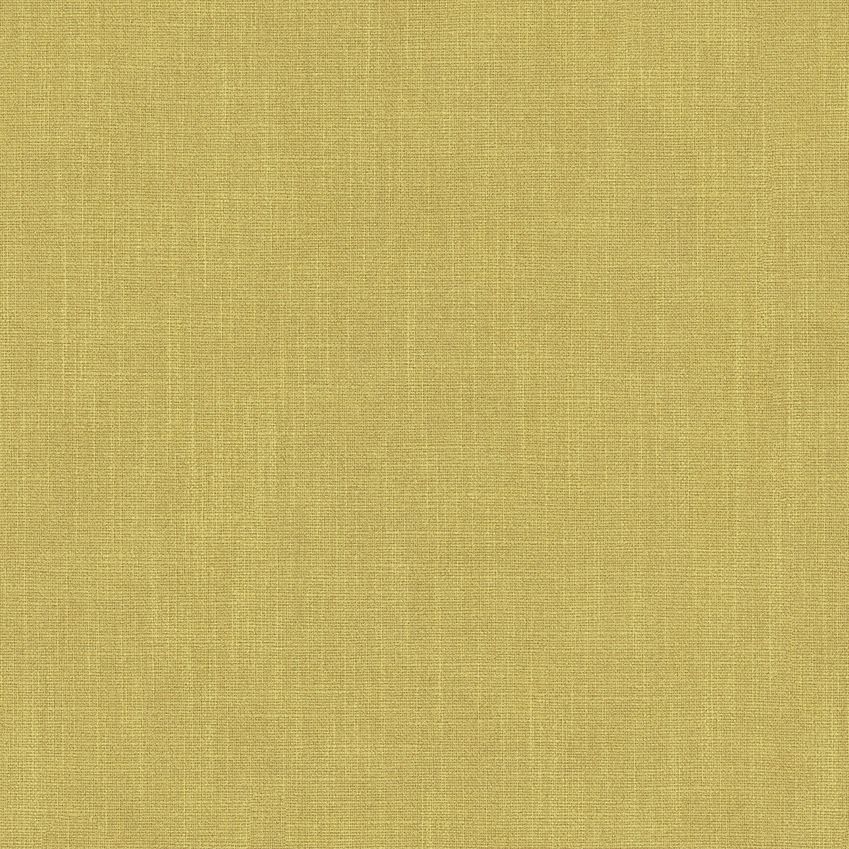 LF2530FR Pluto 12 Mimosa