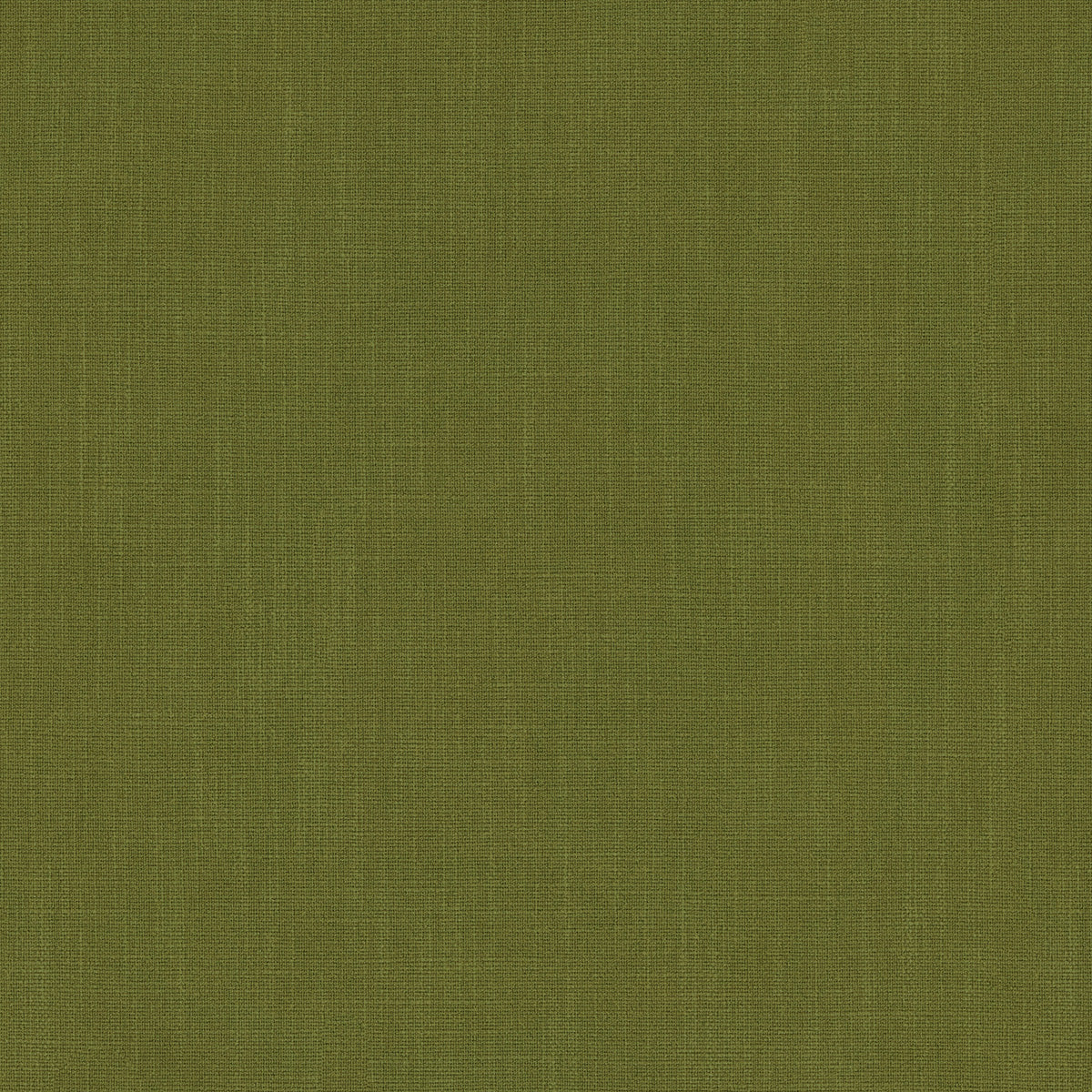 LF2530FR Pluto 45 Olive