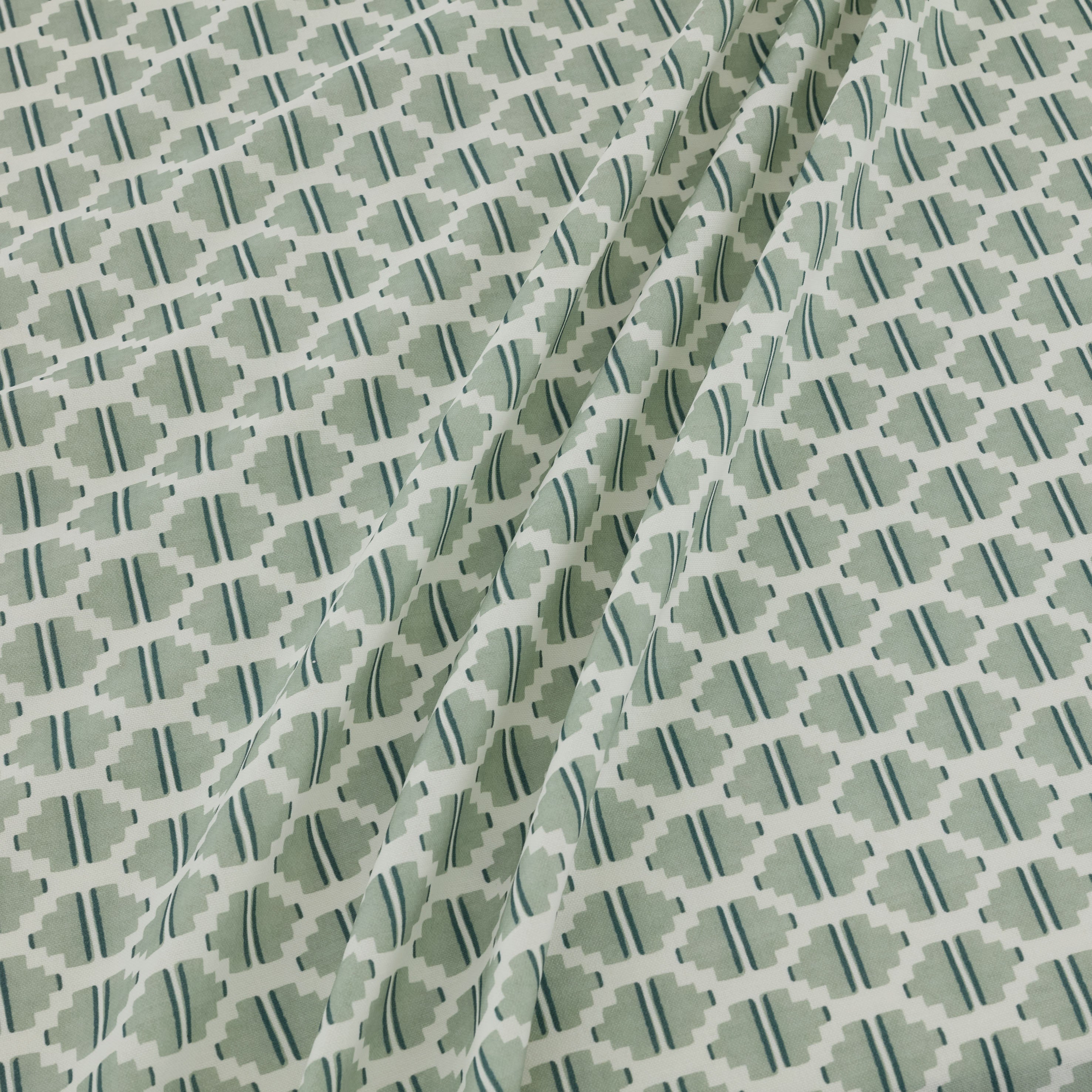 Raye Aloe