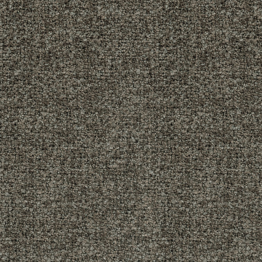 Regent Graphite