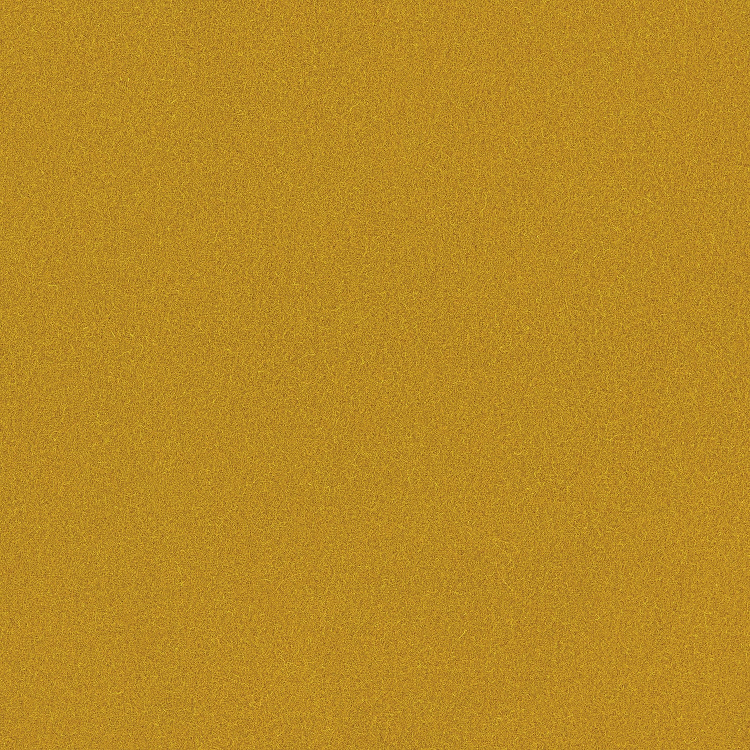LF2440FR Romney 5 Pollen
