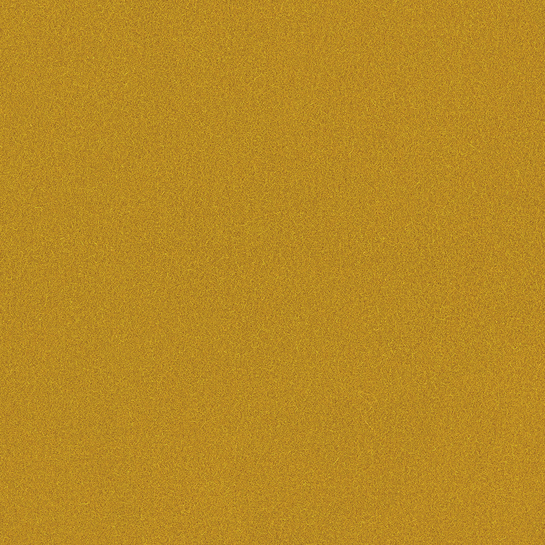 LF2440FR Romney 5 Pollen